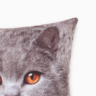 Подушка декоративная Этель "Британская кошка" 40х40 см, габардин, 100% п/э - Фото 2