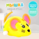 Заводная игрушка «Мышка», цвета МИКС - фото 8402691