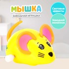 Заводная игрушка «Мышка», цвета МИКС 1036461 - фото 10094304