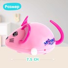 Заводная игрушка «Мышка», цвета МИКС - Фото 3