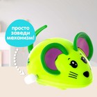 Заводная игрушка «Мышка», цвета МИКС - Фото 5