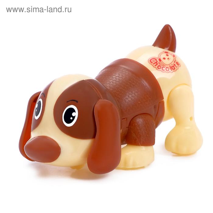Игрушка заводная «Пёс», МИКС - Фото 1
