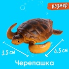 Набор морских животных «Морские обитатели», 6 фигурок - фото 9335141