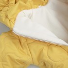 Комбинезон детский демисезонный открытый KinDerLitto «Аванти-2», рост 74-80 см, цвет горчица - Фото 6