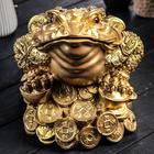 Копилка "Жаба на монетах", глянец, золотистый цвет, 24 см - Фото 2