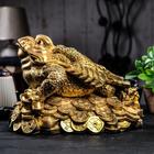 Копилка "Жаба на монетах", глянец, золотистый цвет, 24 см - Фото 3