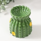 Аромалампа керамика "Кактус с цветочками" 8х8х8,5 см - фото 9375529