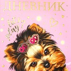 Дневник универсальный для 1-11 классов "Милашка", твёрдая обложка, матовая ламинация, 3D фольга, 40 листов - фото 23816468