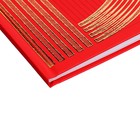 Дневник универсальный для 1-11 классов "Золото на красном", твёрдая обложка, матовая ламинация, 3D фольга, 40 листов - Фото 3