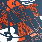 Дневник универсальный для 1-11 классов "Баскетбол", твёрдая обложка, матовая ламинация, 3D лак, 40 листов - фото 23795737