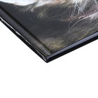 Дневник универсальный для 1-11 классов "Ушки на макушке", твёрдая обложка, глянцевая ламинация, 40 листов - фото 23834086