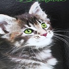 Дневник универсальный для 1-11 классов "Ушки на макушке", твёрдая обложка, глянцевая ламинация, 40 листов - фото 23834087