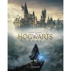 Дневник универсальный для 1-11 классов Hogwarts Legacy-Гарри Поттер, твёрдая обложка, глянцевая ламинация, 40 листов - фото 321174685