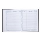 Дневник для 5-11 классов "Роскошь и мощь", твёрдая обложка, глянцевая ламинация, 48 листов - фото 23834216