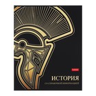 Комплект предметных тетрадей 46 листов «Золотые детали», 12 предметов, обложка мелованный картон, матовая ламинация, 3D фольга - Фото 28