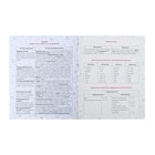 Комплект предметных тетрадей 46 листов «Золотые детали», 12 предметов, обложка мелованный картон, матовая ламинация, 3D фольга - фото 23851352