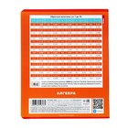 Комплект предметных тетрадей 48 листов «Яркая цветная», 10 предметов, обложка мелованный картон, выборочный лак - фото 23844152