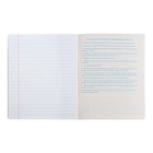 Предметная тетрадь по литературе Hatber «Яркая цветная», 48 листов, в линейку, со справочным материалом, обложка из мелованного картона - Фото 4