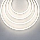 Гибкий неон Led Strip, 5 м, IP67, 9.6Вт/м, LED, 4000К, свечение нейтральное белое - фото 4253247