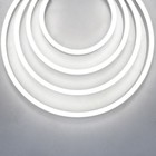 Гибкий неон Led Strip, 5 м, IP67, 9.6Вт/м, LED, 6000К, свечение холодное белое - фото 4253253