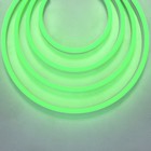 Гибкий неон Led Strip, 5 м, IP67, 9.6Вт/м, LED, свечение зелёное - фото 4253265