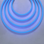 Гибкий неон Led Strip, IP67, 9.6Вт/м, LED, свечение синее - фото 301550937