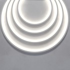 Гибкий неон Led Strip, 5 м, IP67, 12Вт/м, LED, 4000К, свечение нейтральное белое - фото 4253297