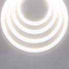 Гибкий неон Led Strip, 5 м, IP67, 16Вт/м, LED, 4000К, свечение нейтральное белое - фото 4253303