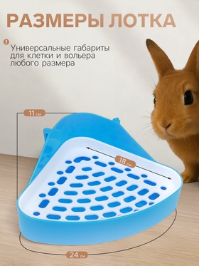 Туалет угловой для кроликов и хорьков, 24×18×11 см, синий