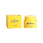 Крем для лица поросужающий Calamansi Pore Cool Down Cream, 100 мл - Фото 2