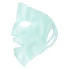 Маска силиконовая для косметических процедур Ayoume 3D Silicone Facial Mask - Фото 2