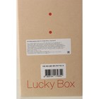 Набор уходовых средств Urban Eco Golden Berry Lucky box B - Фото 5