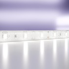 Светодиодная лента Led Strip 10107, 4,8Вт, 500х0,8 см, LED, 500Лм, 6000К, цвет белый - фото 4256803