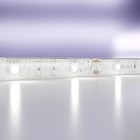 Светодиодная лента Led Strip 10125, 7,2Вт, 500х1 см, LED, 600Лм, 6000К, цвет белый - фото 4256904