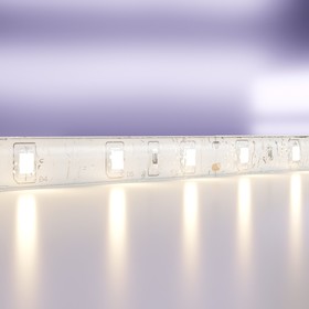 {{productViewItem.photos[photoViewList.activeNavIndex].Alt || productViewItem.photos[photoViewList.activeNavIndex].Description || 'Светодиодная лента Led Strip 10139, 4,8Вт, 500х0,8 см, LED, 500Лм, 3000К, цвет белый'}}