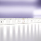 Светодиодная лента Led Strip 10147, 9,6Вт, 500х0,8 см, LED, 1000Лм, 6000К, цвет белый - фото 4257024