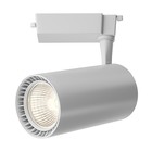 Светильник трековый Technical TR003-1-36W3K-M-W, 36Вт, 17х16,5 см, LED, 3450Лм, 3000К, цвет белый 10381951 - фото 306547596