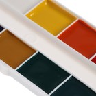 Акварель медовая «Гамма. Мультики», 12 цветов, без кисти, картон - Фото 5