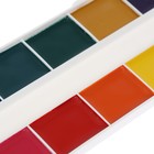 Акварель медовая «Гамма. Мультики», 12 цветов, без кисти, картон - Фото 9