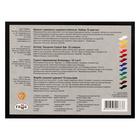 Гуашь художественная набор 12 цветов × 20 мл, «Гамма. Модерн» - Фото 4