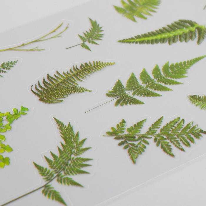 Наклейки пластик "Тропические листья" набор 6 листов 10х18 см