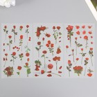 Наклейки пластик "Розы" набор 6 листов 10х18 см - фото 3852080