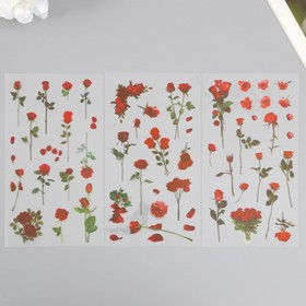 Наклейки пластик "Розы" набор 6 листов 10х18 см