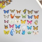 Наклейки для творчества пластик PVC "Цветочные бабочки" набор 60 шт 10х14 см - фото 321176475