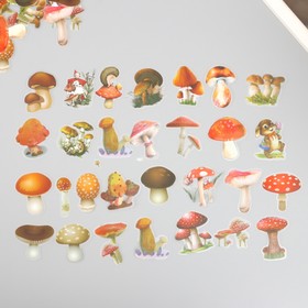 Наклейки для творчества пластик PVC "Лесные грибы" набор 60 шт 10х14 см