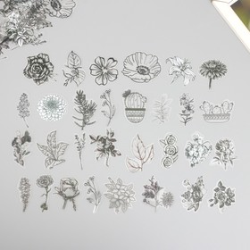 Наклейки для творчества пластик PVC "Эскизы растений" набор 60 шт 10х14 см