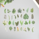 Наклейки для творчества пластик PVC "Зеленые листья" набор 60 шт 10х14 см - фото 321176510