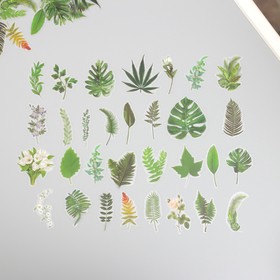 Наклейки для творчества пластик PVC "Зеленые листья" набор 60 шт 10х14 см