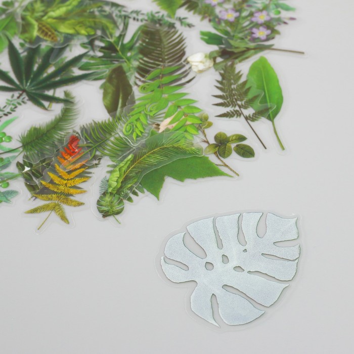 Наклейки для творчества пластик PVC "Зеленые листья" набор 60 шт 10х14 см