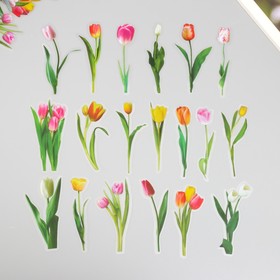 Наклейки для творчества пластик PVC "Тюльпаны" набор 40 шт 9х10.5 см